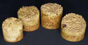 Coolibah burl boxes