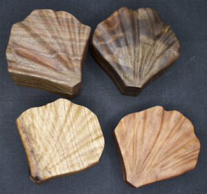 ginkgo leaf boxes silky oak, figured black walnut, pinoak, bloodwood