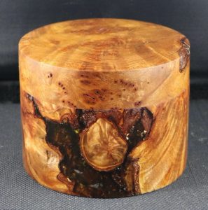 box Tasmanian myrtle burl